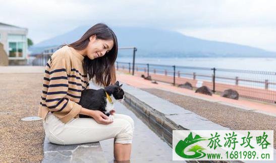 日本的签证好办吗 日本的签证好办吗