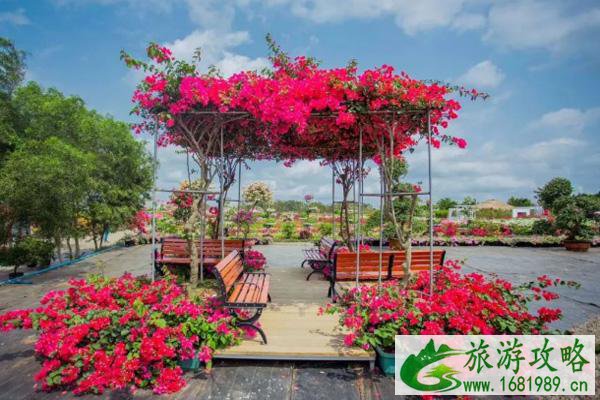 2021佛山国庆节市集活动汇总 2021佛山国庆节市集活动汇总