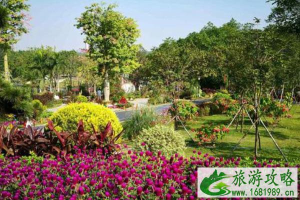 2021东莞植物园假日专线开通时间 东莞植物园游玩攻略 2021东莞植物园假日专线开通时间 东莞植物园游玩攻略