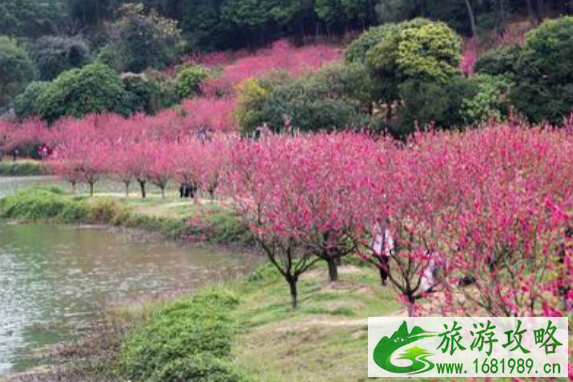 2021年佛山宗教场所开放情况调整 佛山寺庙什么时候恢复开放