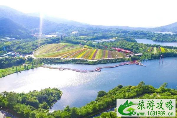 2021深圳东部华侨城元宵节活动有哪些 需要预约吗 2021深圳东部华侨城元宵节活动有哪些 需要预约吗