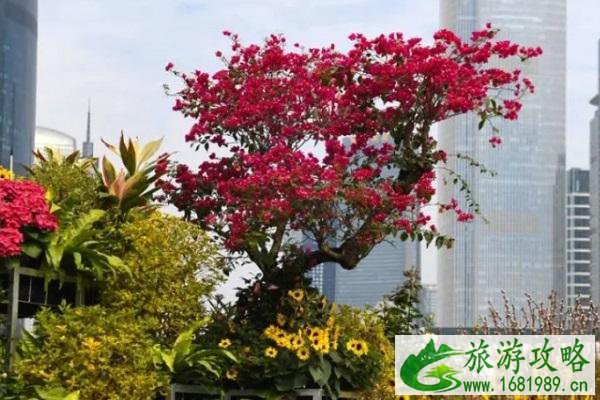 第28届广州园林博览会怎么预约 2021展会举办时间 第28届广州园林博览会怎么预约 2021展会举办时间