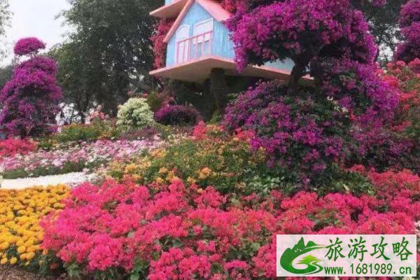 2021广州增城花市预约时间 广州增城花市游玩攻略 2021广州增城花市预约时间 广州增城花市游玩攻略