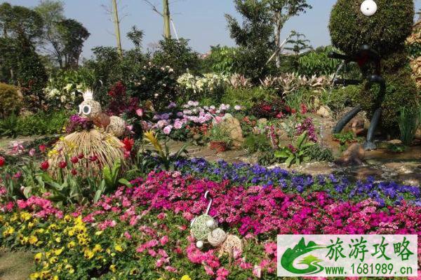 2021广州增城花市预约时间 广州增城花市游玩攻略 2021广州增城花市预约时间 广州增城花市游玩攻略