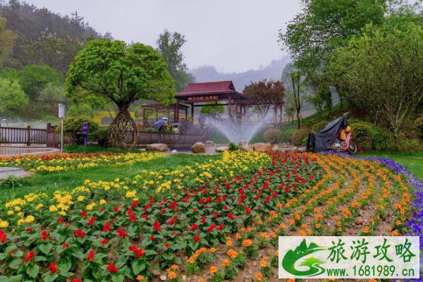 2021佛山里水镇春节年花采购攻略 里水镇春节年花采购地点-价格-交通 2021佛山里水镇春节年花采购攻略 里水镇春节年花采购地点-价格-交通