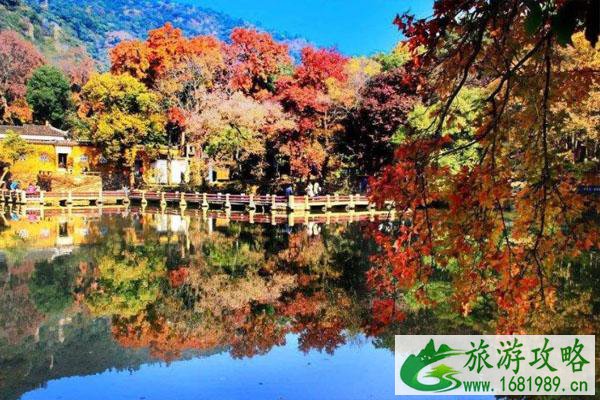 苏州天平山枫叶红了吗2020 最佳观赏期-地点