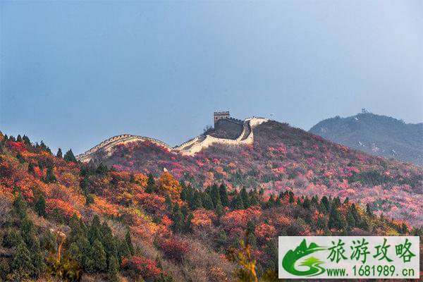 2020北京红叶节活动汇总 时间-地点 2020北京红叶节活动汇总 时间-地点