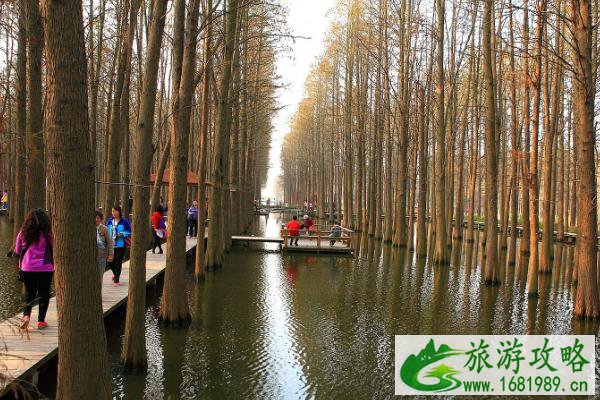 泰州旅游攻略 景点推荐