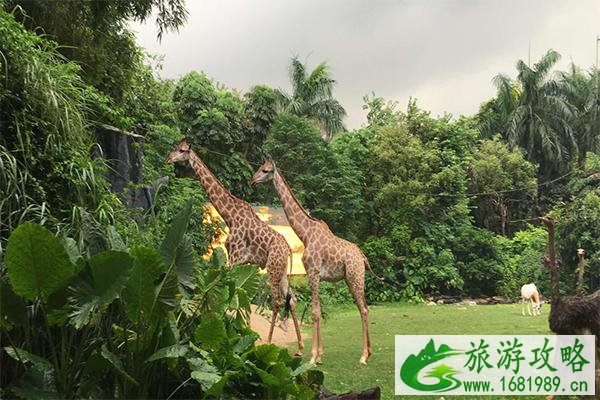 2020国庆节广州长隆各大园区门票多少钱