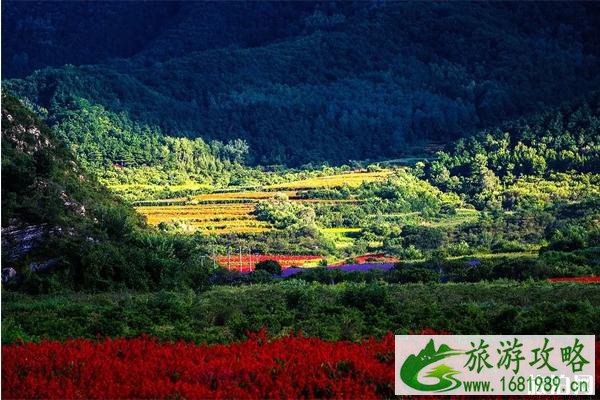 十一北京延庆旅游攻略