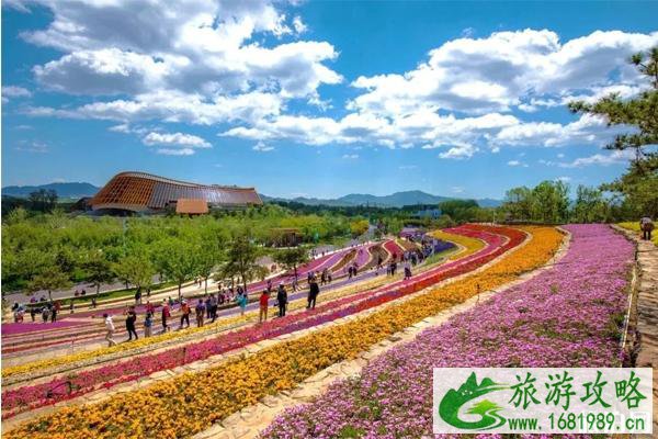 十一北京延庆旅游攻略