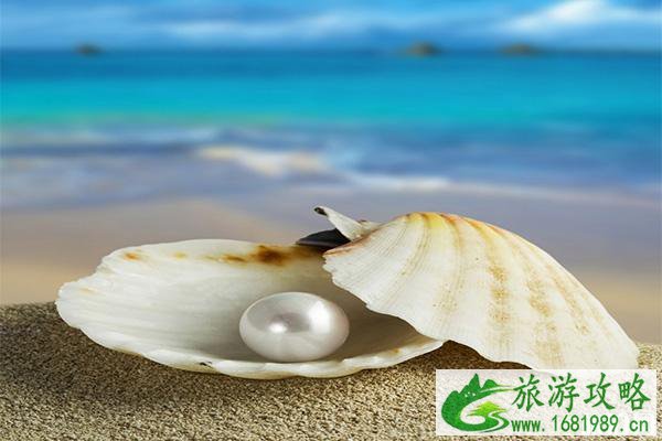 深圳哪个酒店游泳池好 深圳哪个酒店游泳池好