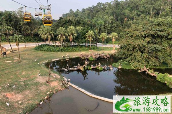 广州九月旅游去哪里好 景点推荐 广州九月旅游去哪里好 景点推荐
