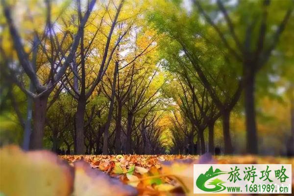 徐州秋天的旅游景点推荐 徐州秋天哪里好看