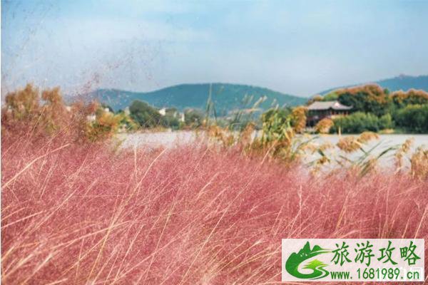 徐州秋天的旅游景点推荐 徐州秋天哪里好看