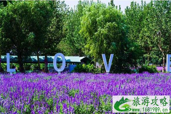 北京蓝调薰衣草庄园门票价格和地址 北京蓝调薰衣草庄园怎么样 北京蓝调薰衣草庄园门票价格和地址 北京蓝调薰衣草庄园怎么样