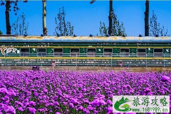 北京蓝调薰衣草庄园门票价格和地址 北京蓝调薰衣草庄园怎么样 北京蓝调薰衣草庄园门票价格和地址 北京蓝调薰衣草庄园怎么样