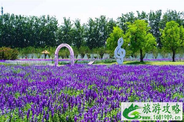 北京蓝调薰衣草庄园门票价格和地址 北京蓝调薰衣草庄园怎么样 北京蓝调薰衣草庄园门票价格和地址 北京蓝调薰衣草庄园怎么样