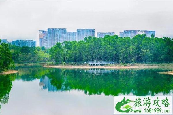 深圳玩水的地方有哪些 深圳玩水的地方推荐