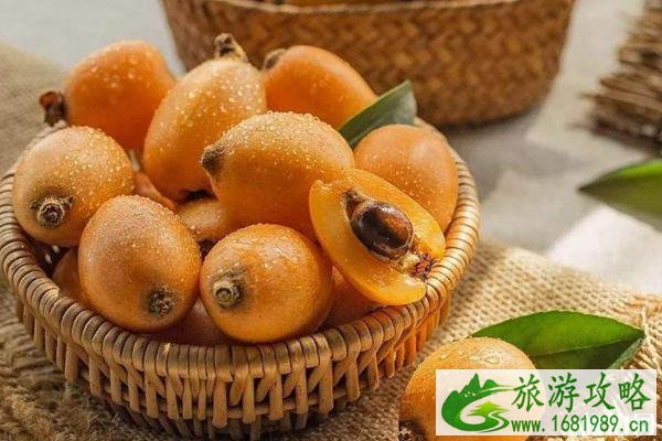 苏州吴中枇杷采摘时间价格-采摘路线 苏州吴中枇杷采摘时间价格-采摘路线