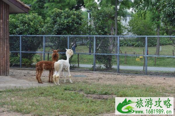 2020苏州上方山森林动物世界免费开放日时间及区域-预约指南