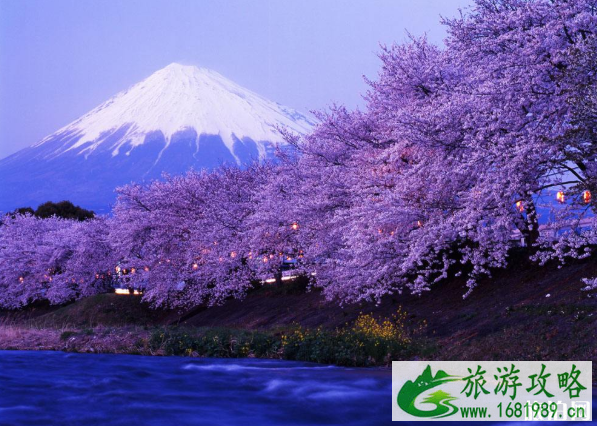 去日本ifi怎么解决-翻译软件推荐 去日本ifi怎么解决-翻译软件推荐