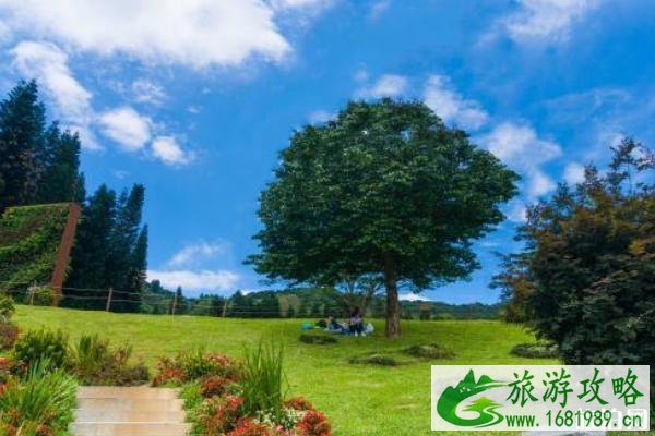 五一深圳仙湖植物园要预约吗-停车预约指南 五一深圳仙湖植物园要预约吗-停车预约指南