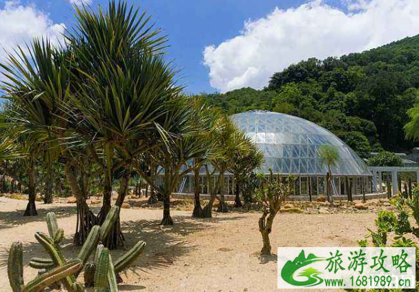 五一深圳仙湖植物园要预约吗-停车预约指南 五一深圳仙湖植物园要预约吗-停车预约指南