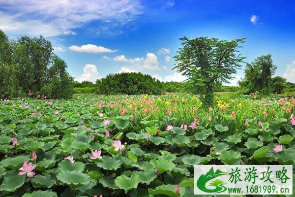 2020广州南沙湿地公园开放时间及游玩攻略 2020广州南沙湿地公园开放时间及游玩攻略