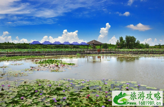 2020广州南沙湿地公园开放时间及游玩攻略 2020广州南沙湿地公园开放时间及游玩攻略