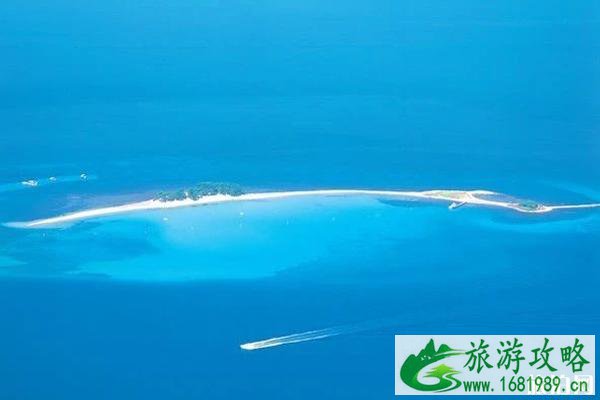 日本潜水哪里最好 日本潜水地排名 日本潜水哪里最好 日本潜水地排名