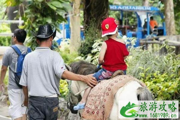 2020泰国动物园免费开放 泰国动物园哪个好 2020泰国动物园免费开放 泰国动物园哪个好