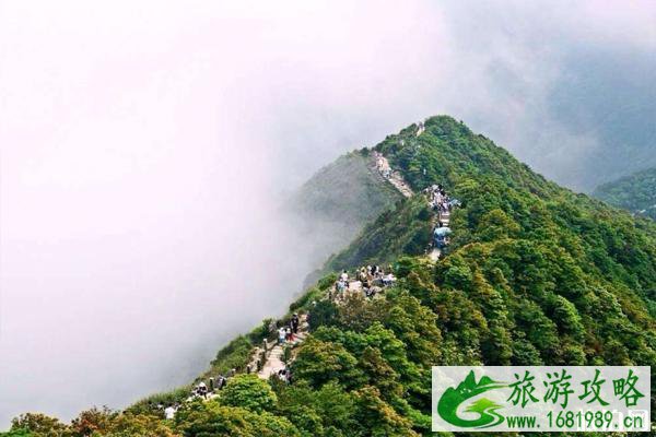 2020深圳梧桐山路线全攻略 2020深圳梧桐山路线全攻略