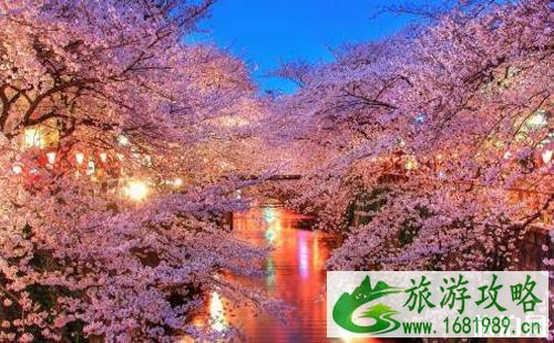 日本护照丢了怎么办 日本护照丢了怎么办