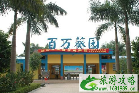 2022广州端午节去哪里好玩 2022广州端午节去哪里好玩