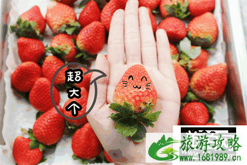 2022元宵节深圳有哪些好玩的地方有优惠活动 2022元宵节深圳有哪些好玩的地方有优惠活动