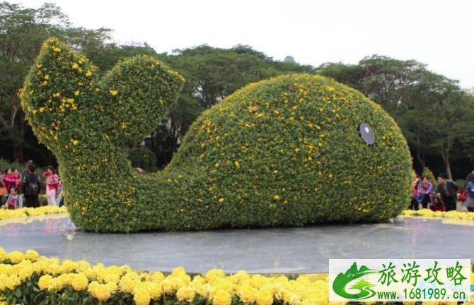 深圳看花的地方和公园有哪些推荐 深圳看花的地方和公园有哪些推荐