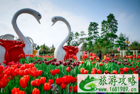 2022广州元宵节活动有哪些 广州元宵节活动门票多少钱 2022广州元宵节活动有哪些 广州元宵节活动门票多少钱