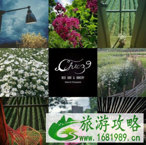 清迈在哪个国家 2017年清迈自由行攻略