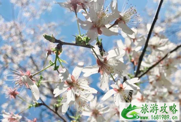 北京周末踏青好去处 游玩路线推荐 北京周末踏青好去处 游玩路线推荐