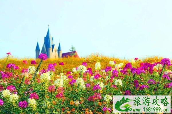 2022惠州春季十大赏花景点推荐