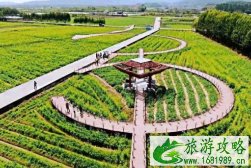 2022广州3月最新赏花攻略