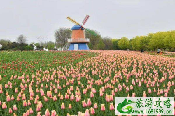 2022三八妇女节北京国际鲜花港活动有哪些