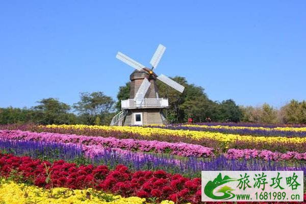 2022三八妇女节北京国际鲜花港活动有哪些