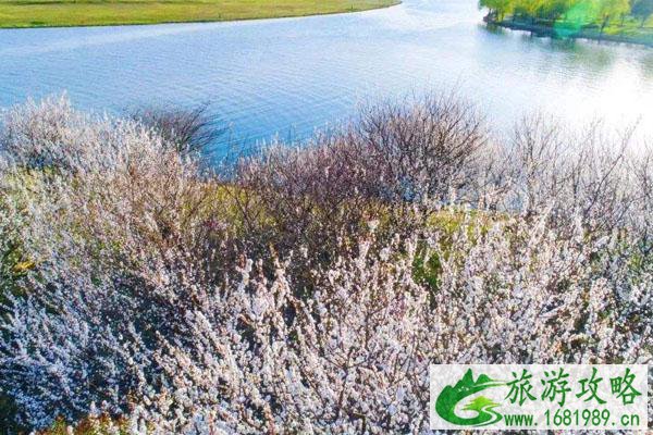 苏州春季赏花好去处 必去景点推荐 苏州春季赏花好去处 必去景点推荐