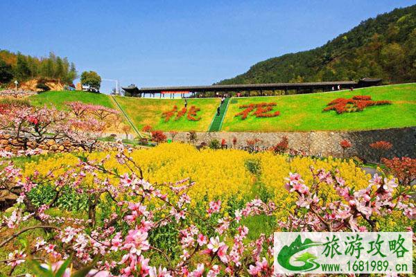 2022无锡看桃花最好的地方 无锡赏桃花去哪里 2022无锡看桃花最好的地方 无锡赏桃花去哪里