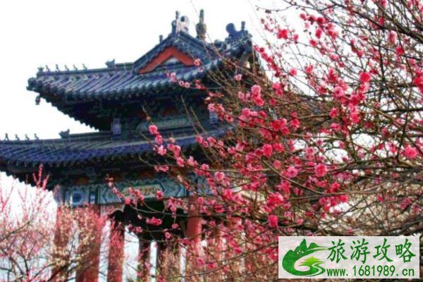 南京春季赏花旅游攻略 去哪里比较好