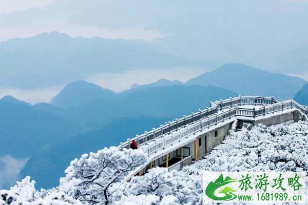 2021金佛山冬季旅游攻略(附门票价格和路线推荐) 2021金佛山冬季旅游攻略(附门票价格和路线推荐)