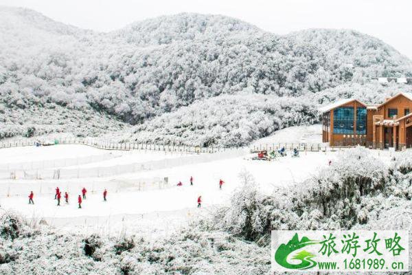 2021金佛山冬季旅游攻略(附门票价格和路线推荐) 2021金佛山冬季旅游攻略(附门票价格和路线推荐)