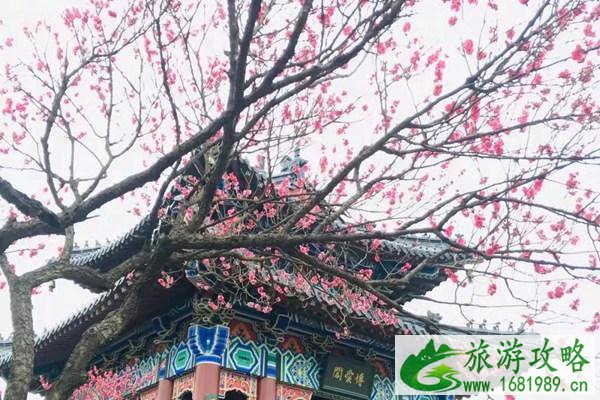 南京冬季适合去的地方 南京冬季打卡地推荐